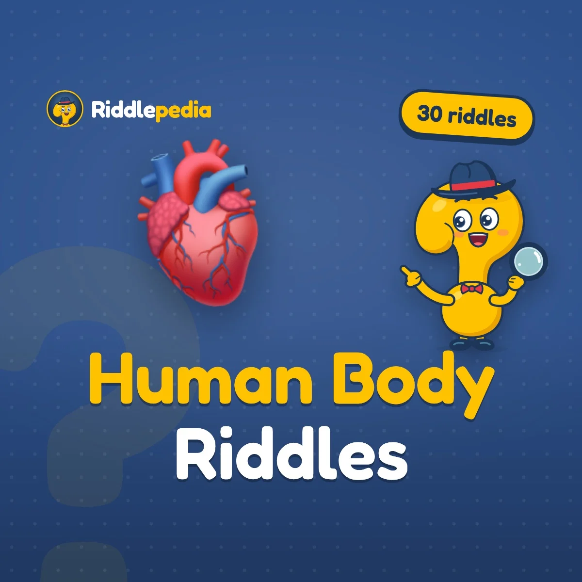 Human Body Riddles: 30 Riddles About Your Amazing Body on Riddlepedia
