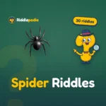 Spider Riddles: 30 Eight-Legged Riddles with Answers on Riddlepedia